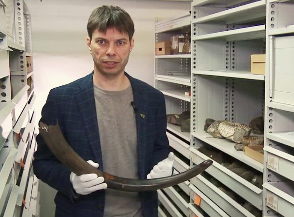 vacinart rabota v muzee na severe