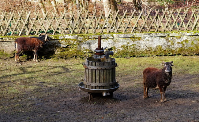 zowaasch-vacinart art rezidenciya luksemburg