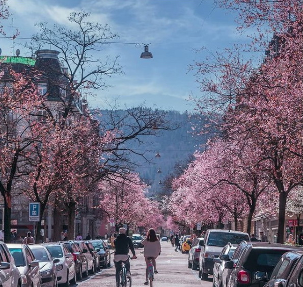 vacinart art Zurich 2022