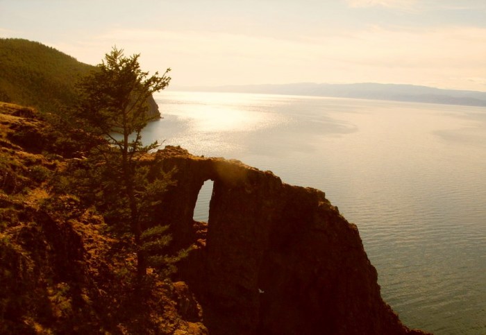 vacinart baykal shkola issledovateley