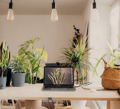 vacinart rabota moskva greenpeace