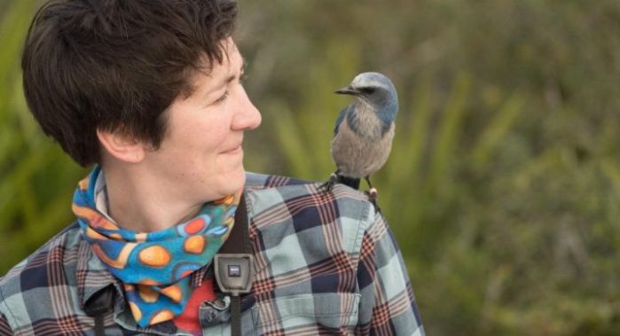 vacinart rabota v moskve