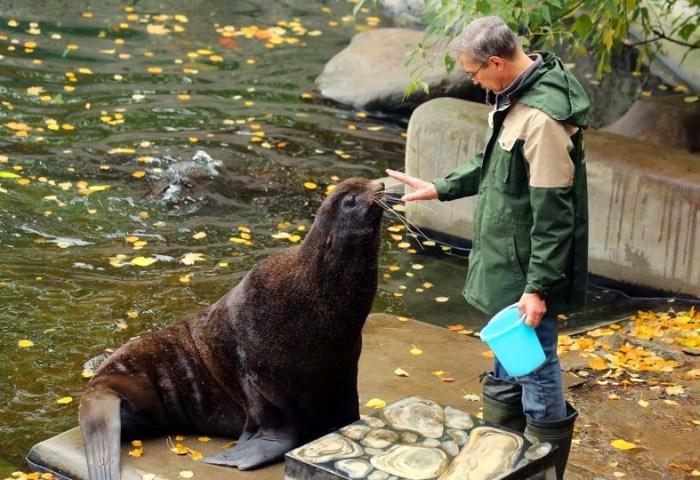 vacinart rabota v moskovskom zooparke