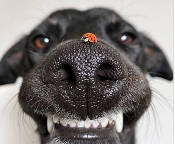 vacinart rabota zhurnalist k sobchak moskva