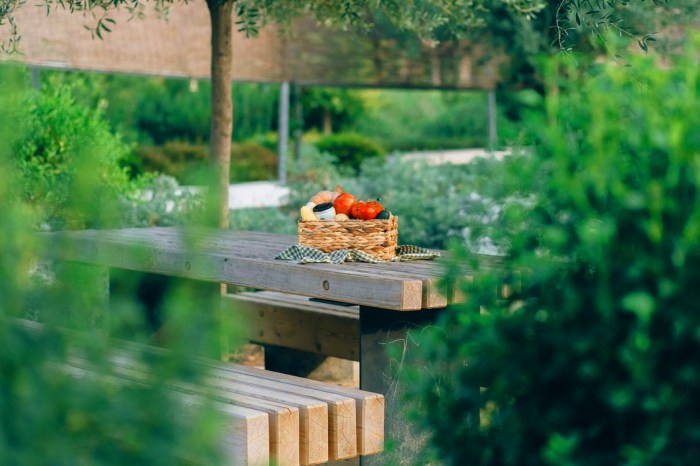 vacinart volonter leto 2021 rossia rabota s pchelami