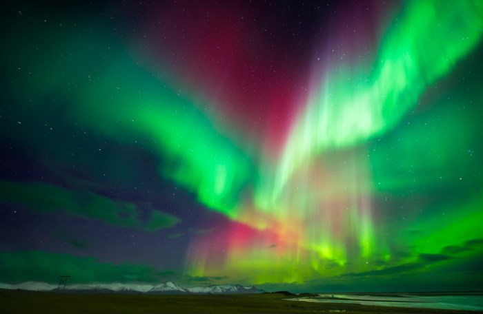 photograph severnogo siyaniya vacinartmsk