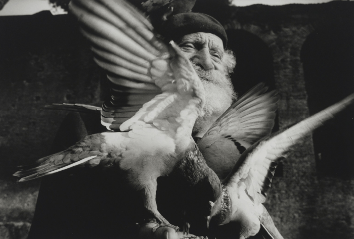 vacinart konkгrs streetphoto Paolo Pellegrin