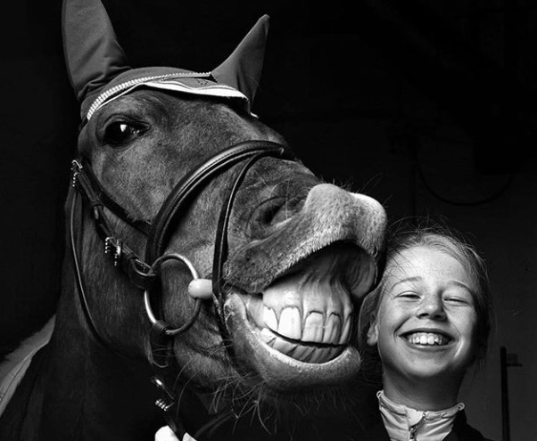 vacinart lookatme dizayner v zhurnal s loshadkami