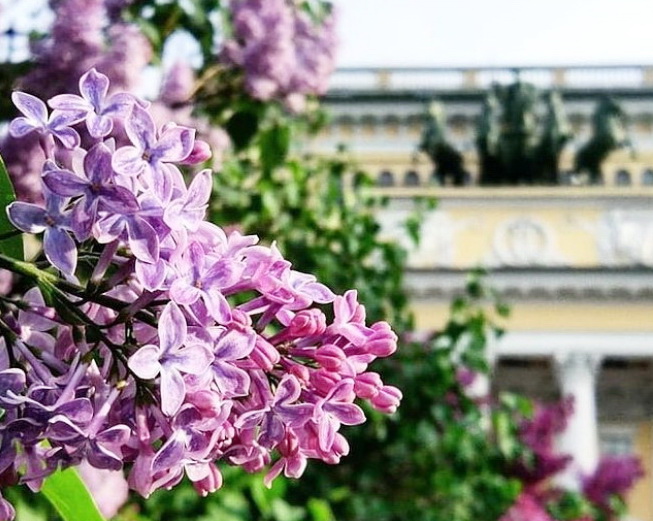 vacinart rabota v teatre spb