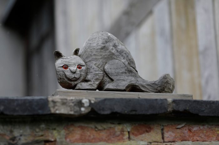 vacinart cat-middleton