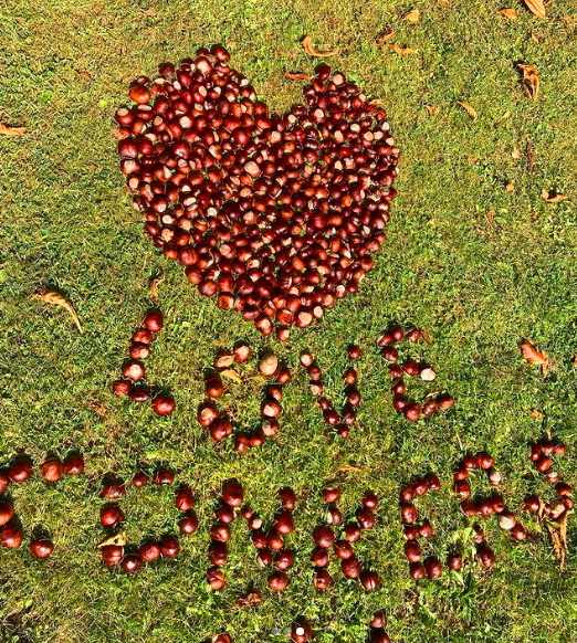 vacinart rabota doma