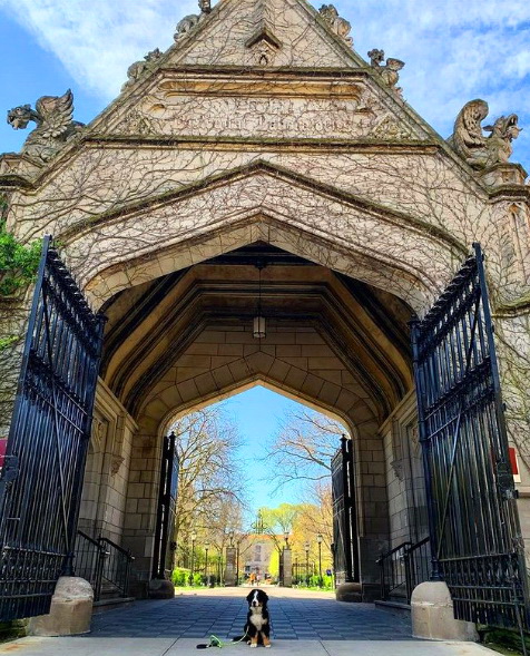 vacinart stipendiya biznes-zhurnalist