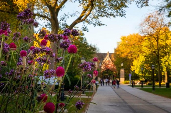 vacinart stipendiya biznes-zhurnalist