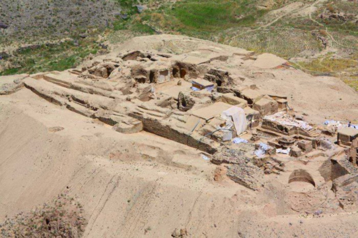 vacinart granty dlya sohranenu kulturnyh cennostey