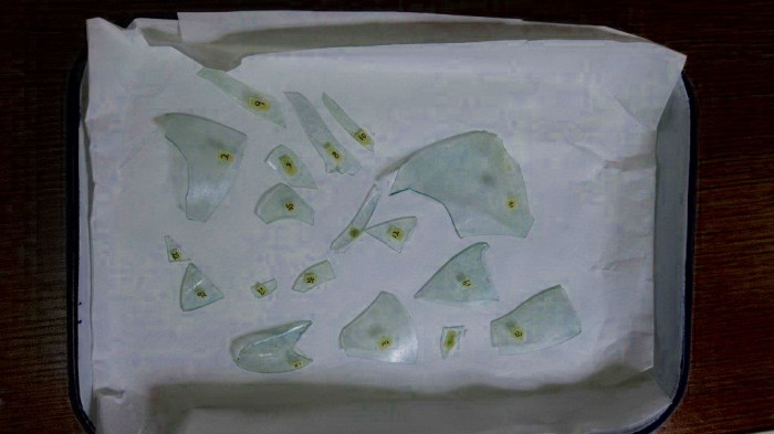 vacinart granty dlya sohranenu kulturnyh cennostey