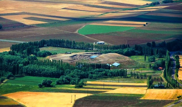 vacinart granty dlya sohranenu kulturnyh cennostey