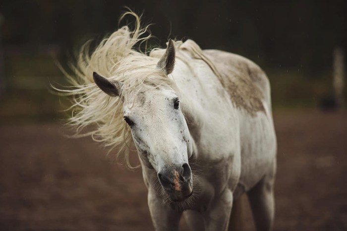 konkurs teatr avtor vacinart