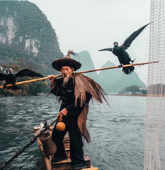 rabota doma avtor angliyskiy russkiy kitayskiy