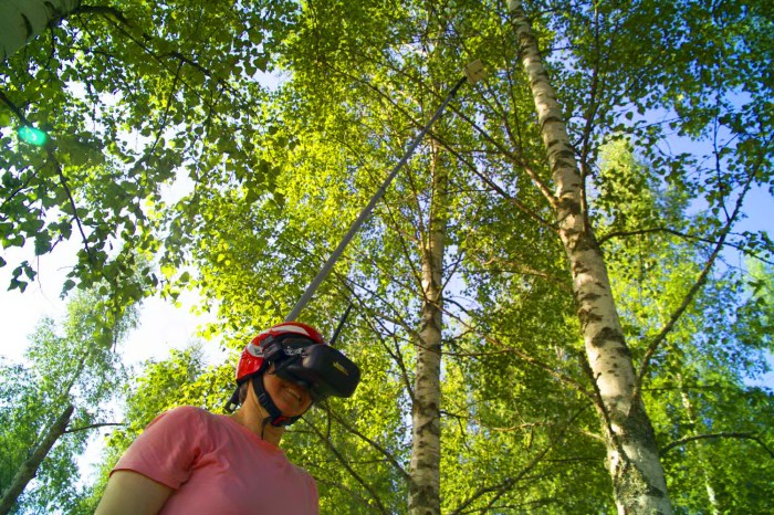 vacinart art proect wild bits