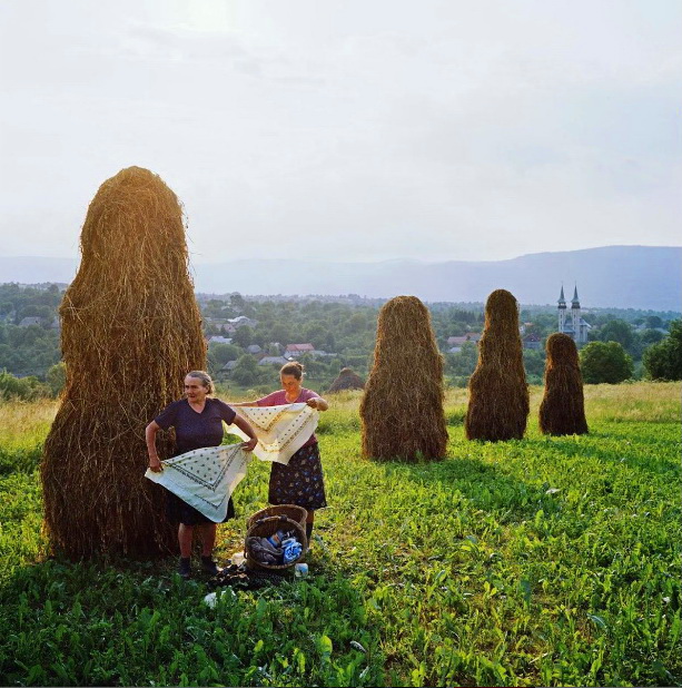 vacinart grant art 2022