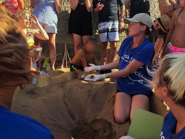 vacinart volonterom v greciyu 2022