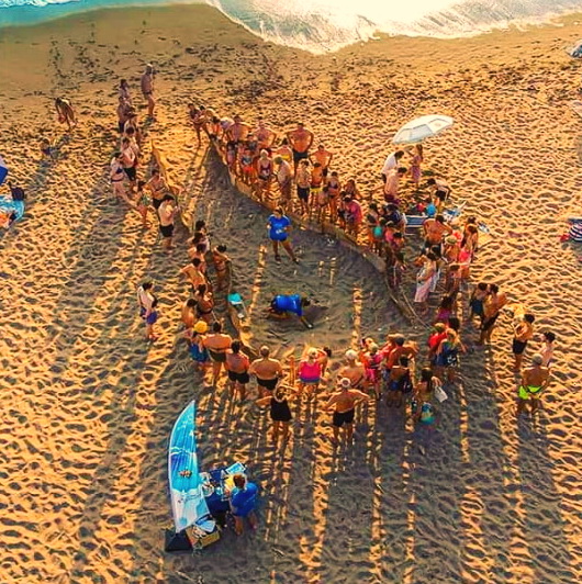 vacinart volonterom v greciyu 2022