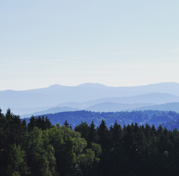 vacinart art rezidenciya v bavarskom lesu 2022