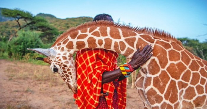 vacinart stipendii lideram chengmekeram vsego mira