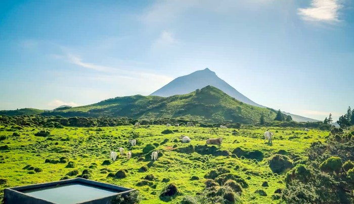 art rezidencuya ostrov piko portugaliya vacinartmsk art raboty