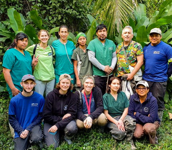 rabota v djunglyah bolivii vacinart volonter