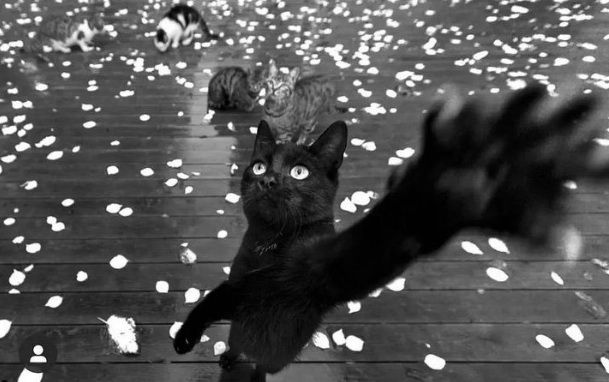 Вакансии для владеющих русским в Европе (включая Австрию и ...