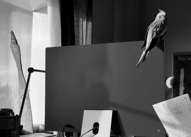 Вакансия в благотворительном фонде в Москве (удалённая работа с ...