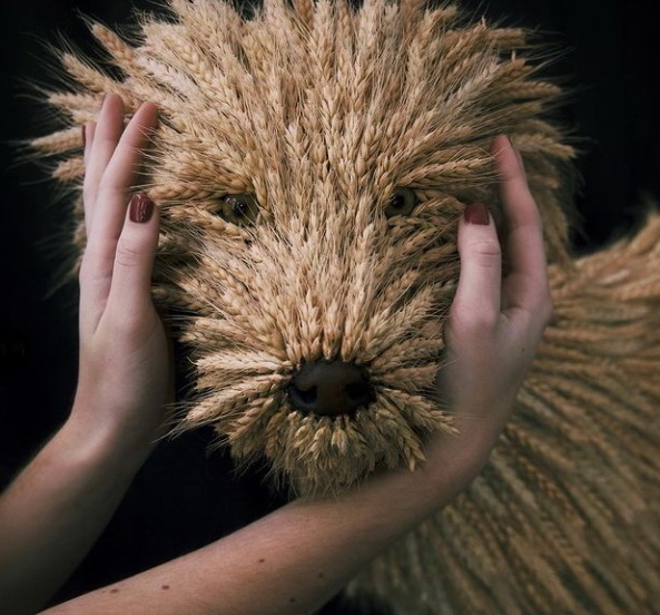 vacinart rabota v muzee v mosvke 