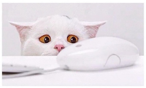 rabota smm moskva udalenno russkiy rabota za rubezhom vacinartmsk
